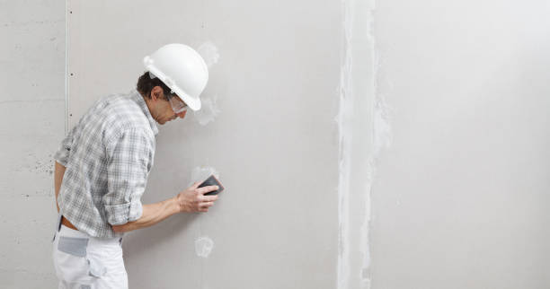 Best Drywall Removal and Disposal  in Springfield, FL